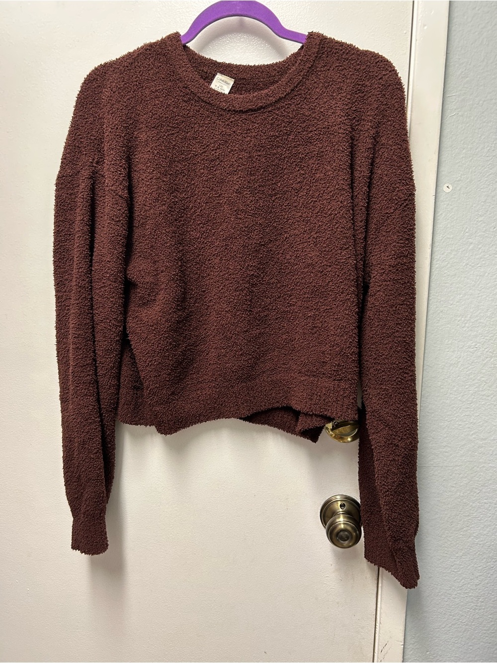 Calvin Klein Plush Crewneck Sweater in Chocolate Brown